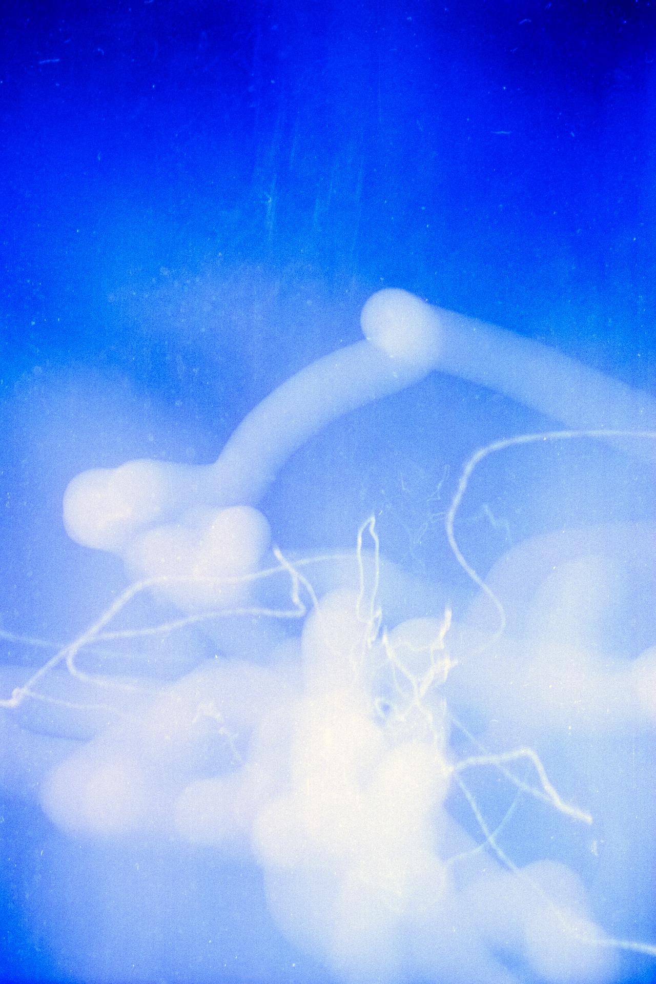 Thumbnail /2022 Berlin/blue movement.jpg